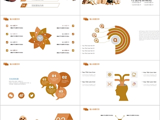宠物行业营销报告PPT模板