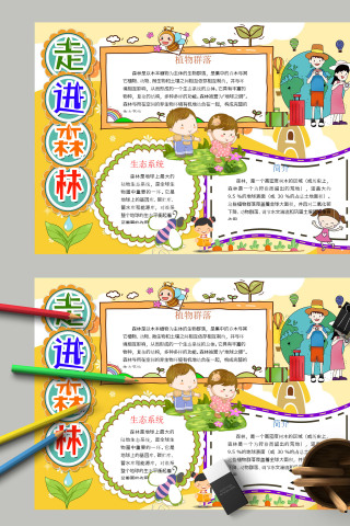 中小学生世界森林日走进森林手抄报下载