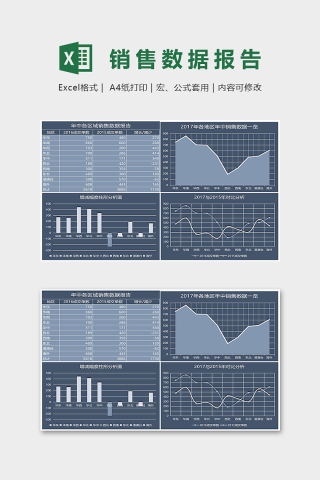 数据可视化工具年中各区域销量数据报告excel模板下载