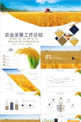 农副产品推广宣传推介工作计划总结汇报PPT模板
