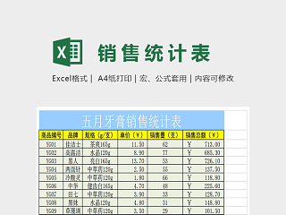 精美详细销售统计表excel