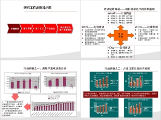 房地产项目前期定PPT位报告