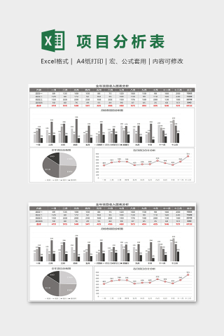 月度年度项目收入支出图表excel模板下载