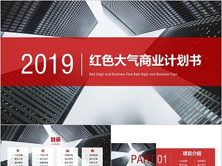 2019年终汇报PPT企业工作新年计划总结猪年大气模板