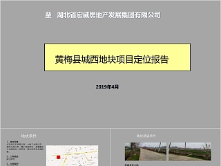 房地产项目定位报告PPT