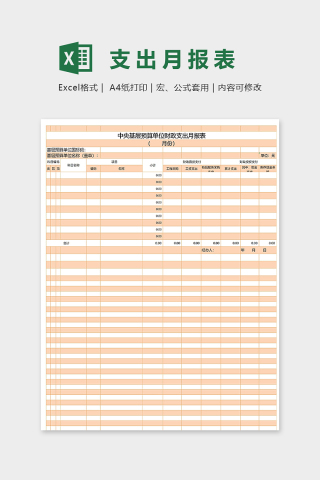 预算单位财政支出月报表excel模板下载