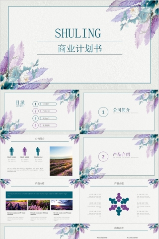 小清新简约商业计划书PPT模板
