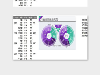 数据分析统计精美模版