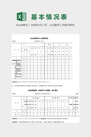 企业特殊技术人才基本情况表Excel下载