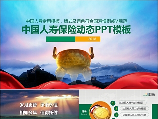 中国人寿保险公司专用ppt模板