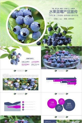 水果蓝莓产品宣传PPT模板