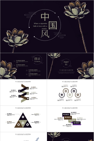 荷花中国风工作总结通用ppt