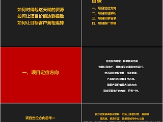 房地产项目整合推广策划案ppt