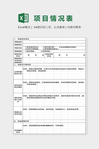 简单大方精美项目情况表Excel下载