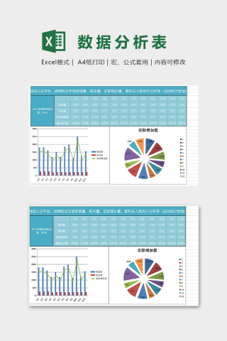 粉丝年度统计分析表下载