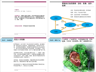 房地产项目营销成功案例分析ppt