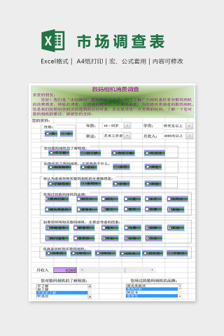 简单大方市场调查表EXcel下载