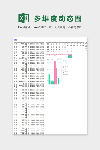 数据可视化图表多维度动态图excel模板下载