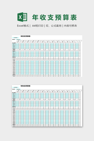 专业公司年收支预算表excel模板下载