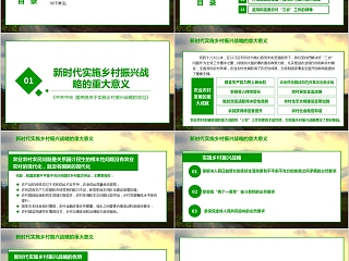 全面部署实施乡村振兴战略