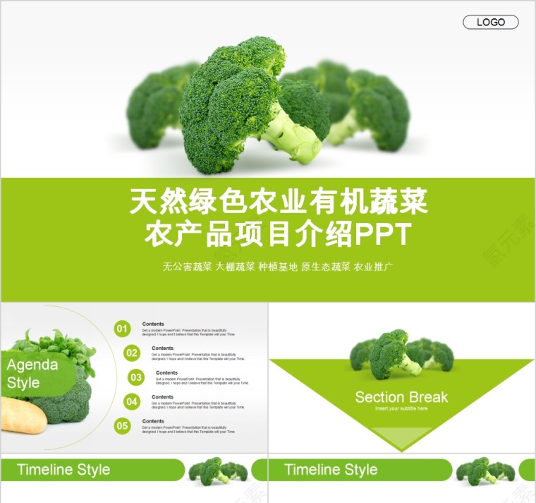 天然绿色农业有机蔬菜农产品项目介绍PPT第1张