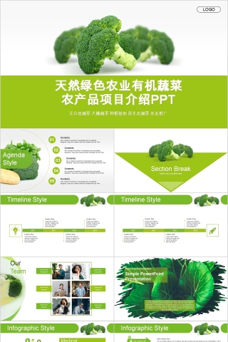 天然绿色农业有机蔬菜农产品项目介绍PPT下载