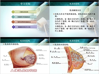 简约清新催乳师教育培训PPT模板