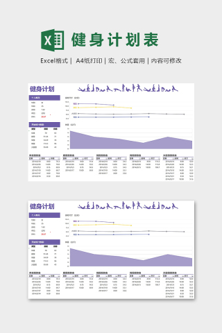 自动高端健身计划统计图表excel模版