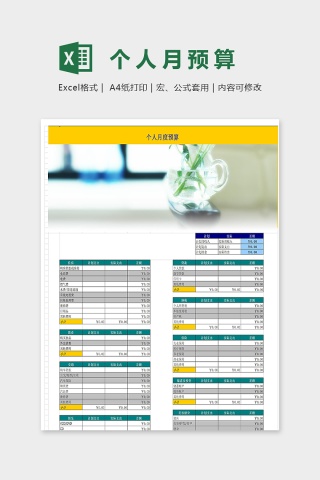个人月度预算下载