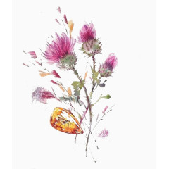 手绘海棠花素材图
