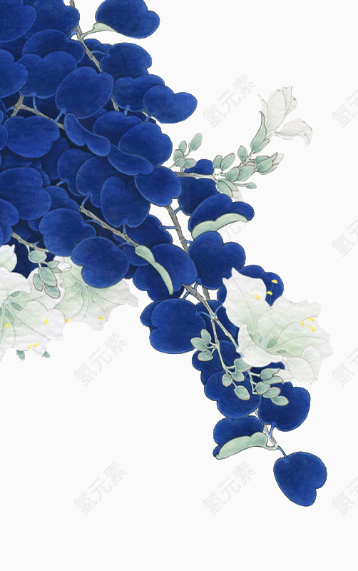 蓝白色花朵素材