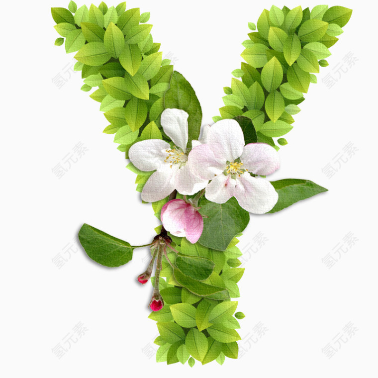 春意盎然的绿叶花卉字母Y