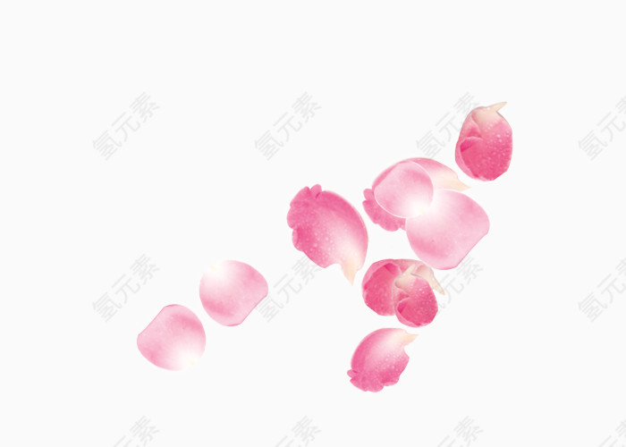 清新唯美飞舞的粉色玫瑰花瓣