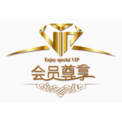 VIP会员尊享