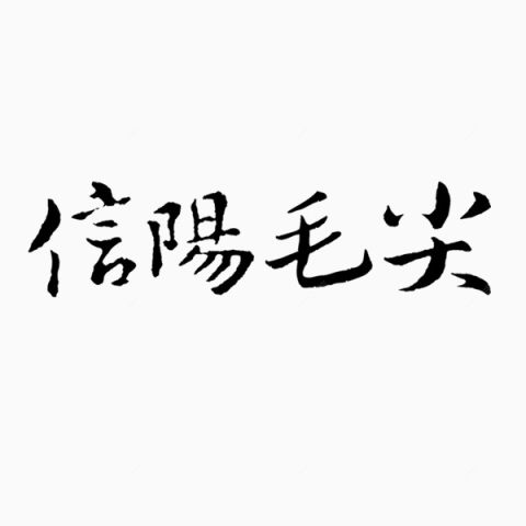 信阳毛尖毛笔字下载