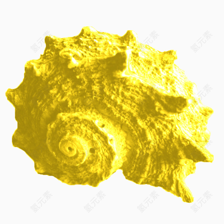 黄色贝壳