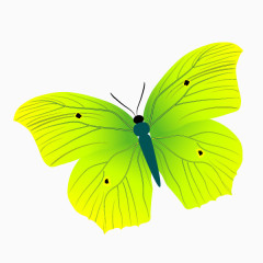 绿色蝴蝶矢量图片