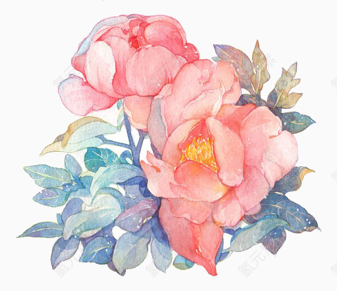 手绘鲜花插画