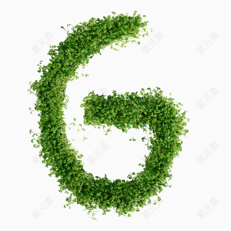 绿色植物G