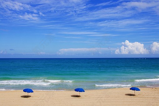 海滩,海洋,海,水,旅行,假期,沙,热带,夏天,太阳,度假,梧桐,伞,