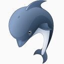 海豚动物动物