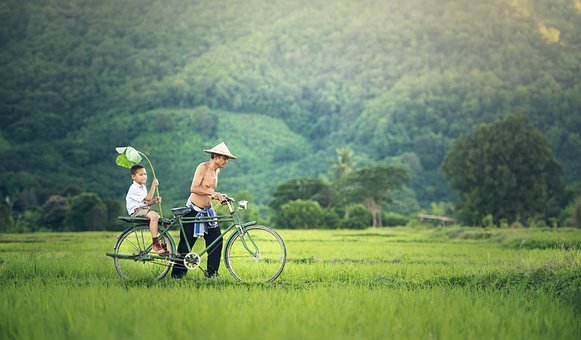 自行车,柬埔寨,目睹,缅甸,家庭,泰国,越南语,父亲,儿子,草甸,湿地