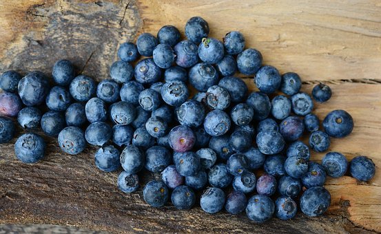 蓝莓,浆果,水果,蓝色,健康,免費的照片,免费图片