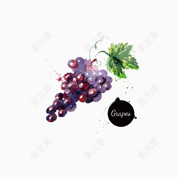 水彩葡萄