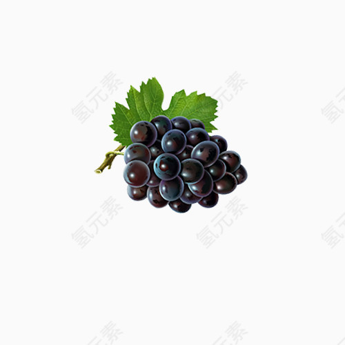 一串新鲜的黑色葡萄PNG素材