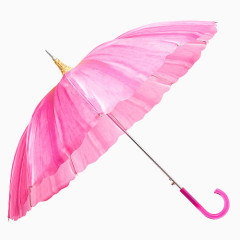 花瓣雨伞