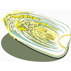 大白菜切面