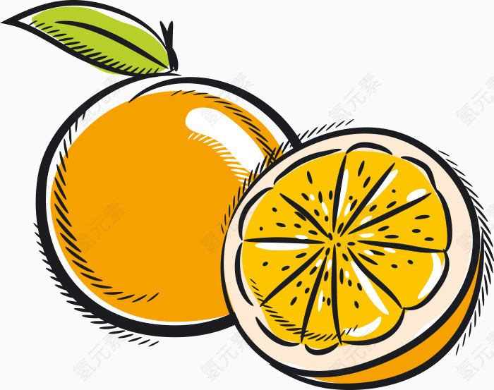 卡通水果柚子素材