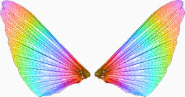 彩色翅膀图案