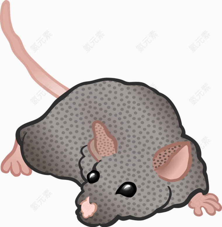 灰色的老鼠